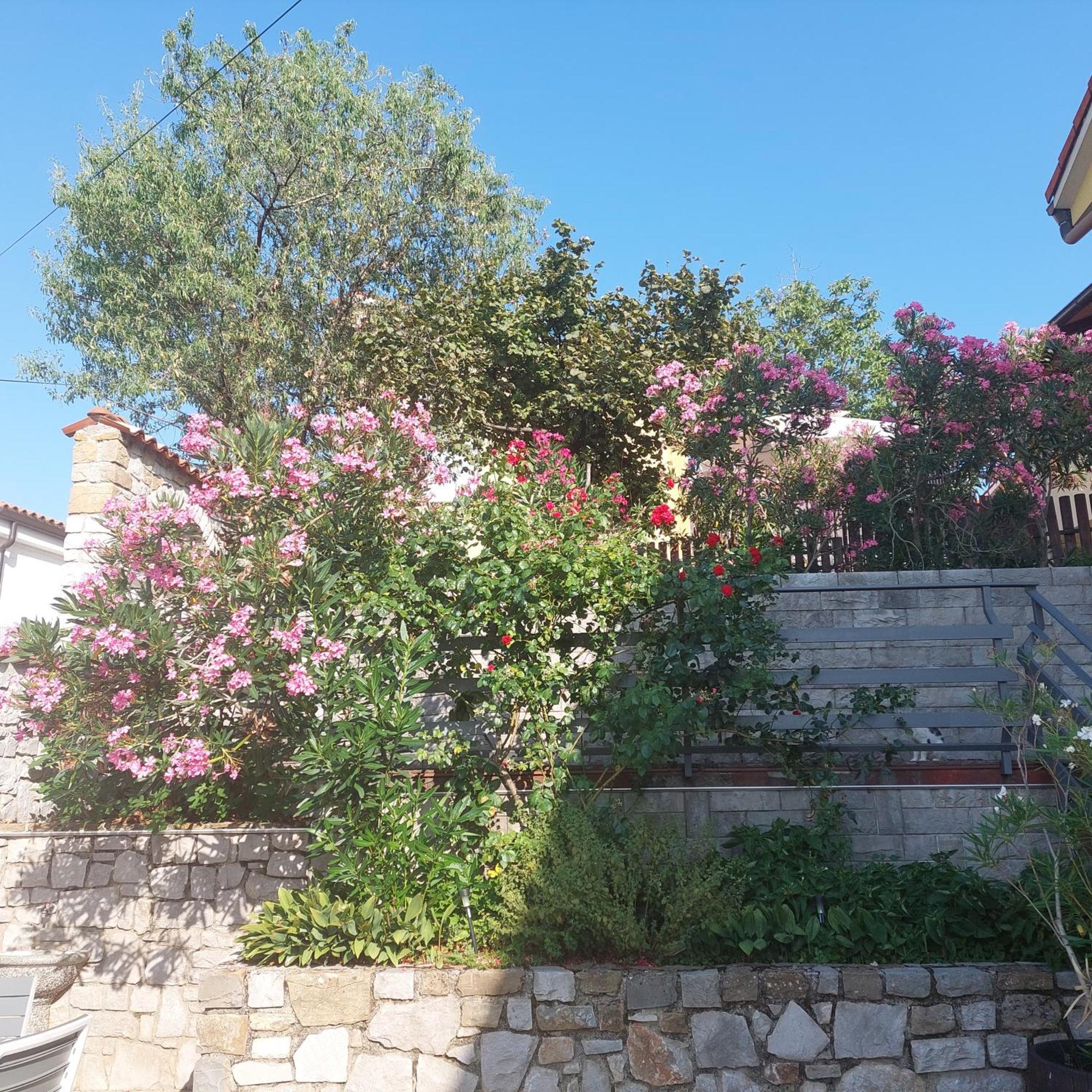 Apartma Nika Pobegi 외부 사진